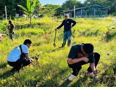 Planting trees for healthier environment